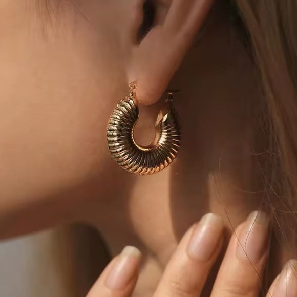 Twist Elegant Silver Hoop Earrings - Picture 7 of 7